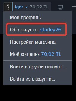 Пополнение баланса аккаунта steam (Казахстан)