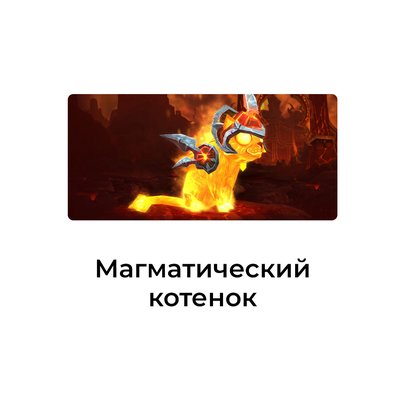 Магматический котенок